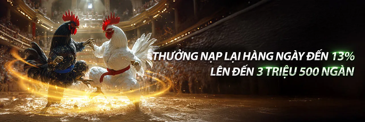 Đá Gà Trực Tiếp Thomo 12/3